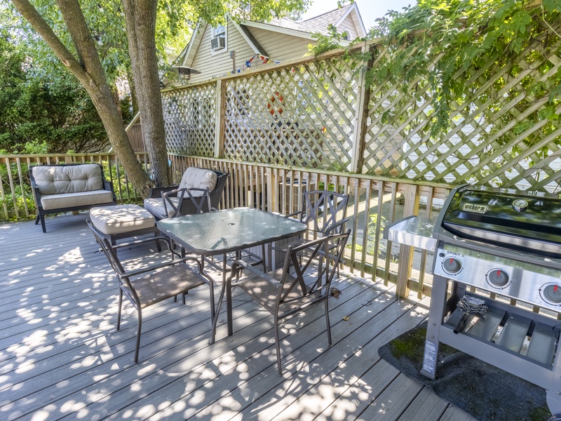 Back Deck | Gas Grill