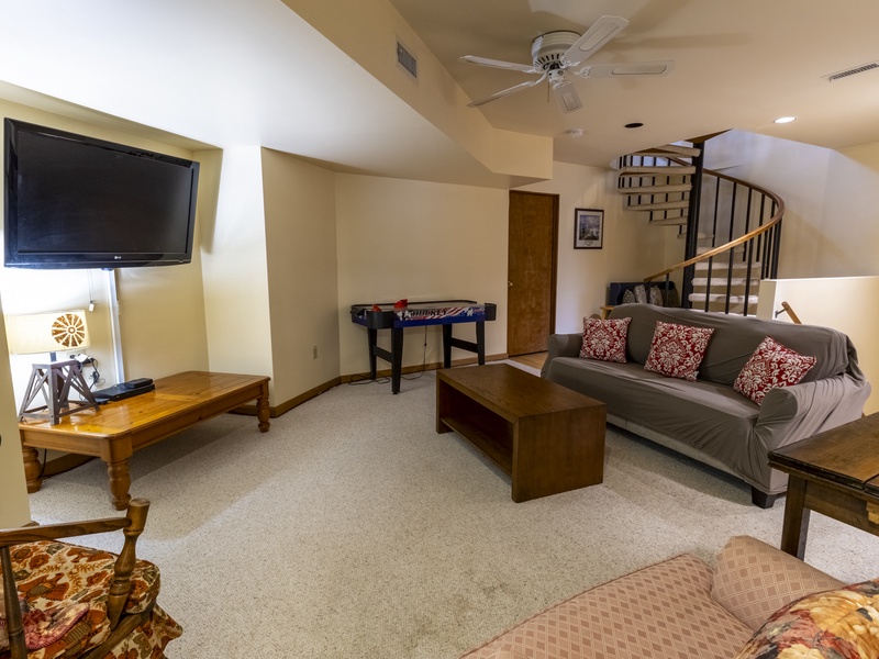 Basement | Family Room | Sleeper Sofa