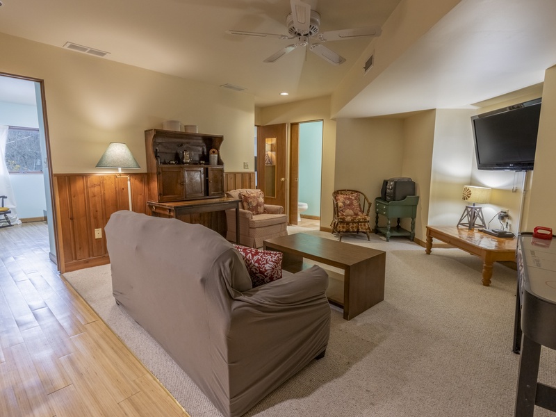 Basement | Family Room | Sleeper Sofa