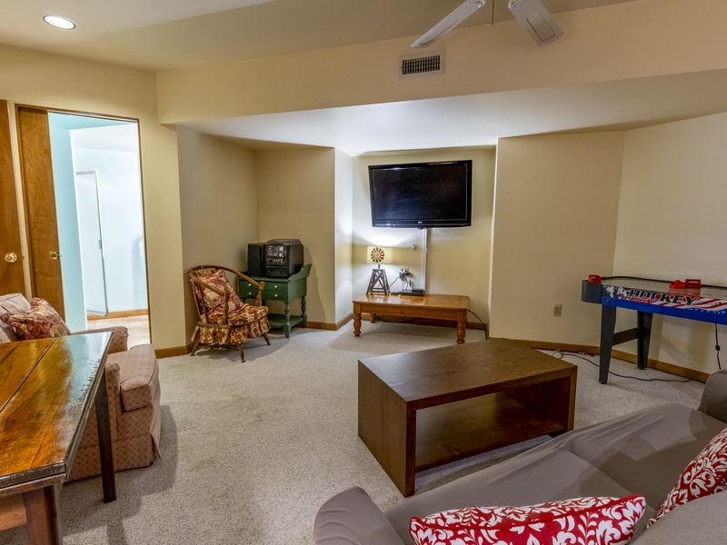 Basement | Family Room | Sleeper Sofa