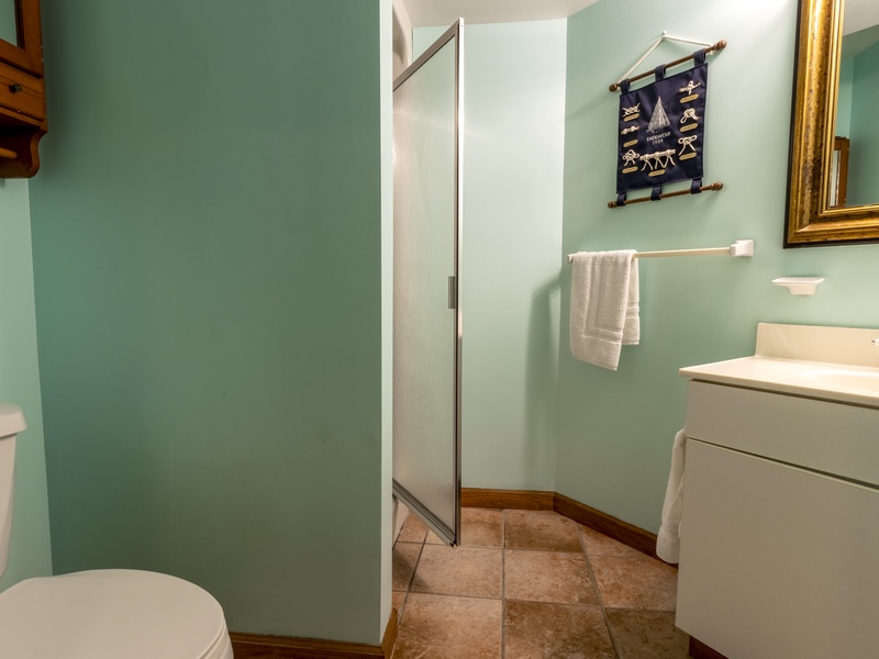 Basement | Bath 2 | Standalone with Walk in Shower