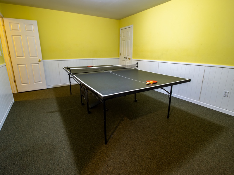 Basement ping pong table