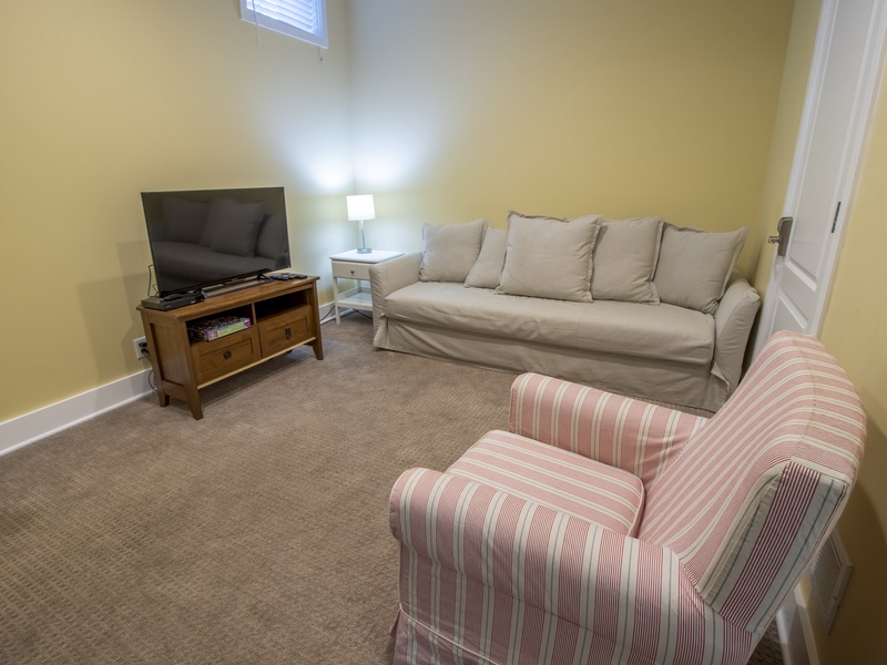 Basement Level | Living Room with Sleeper Sofa