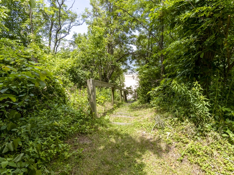 Beach Path