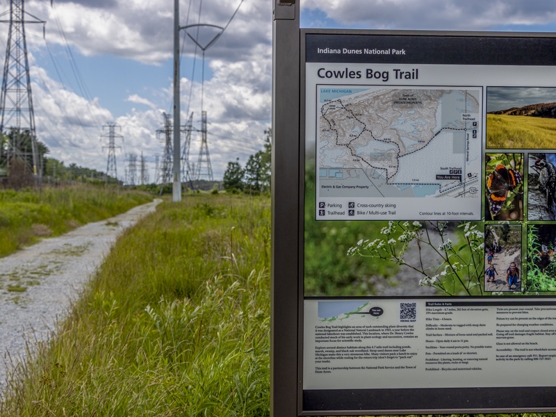 Cowles Bog Trail