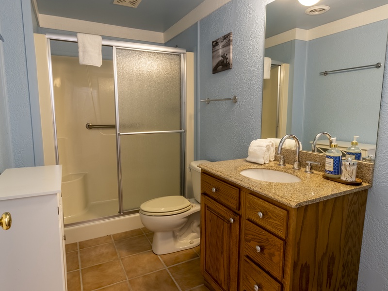 Basement |Hall 3/4 Bathroom