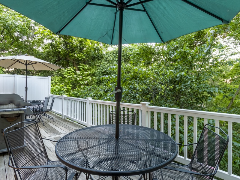 Main Level | Back Deck | Gas Grill