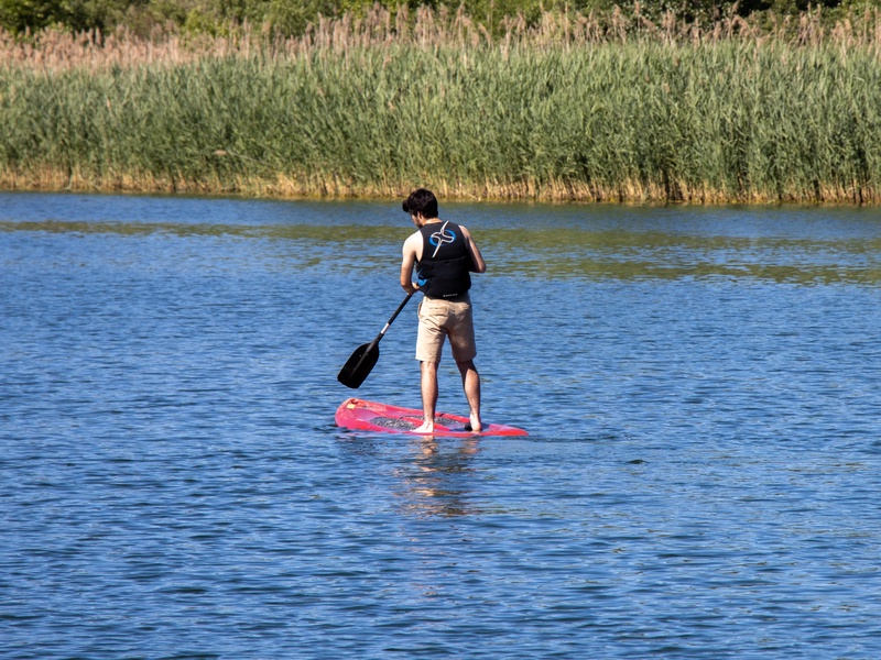 Paddle Boarding