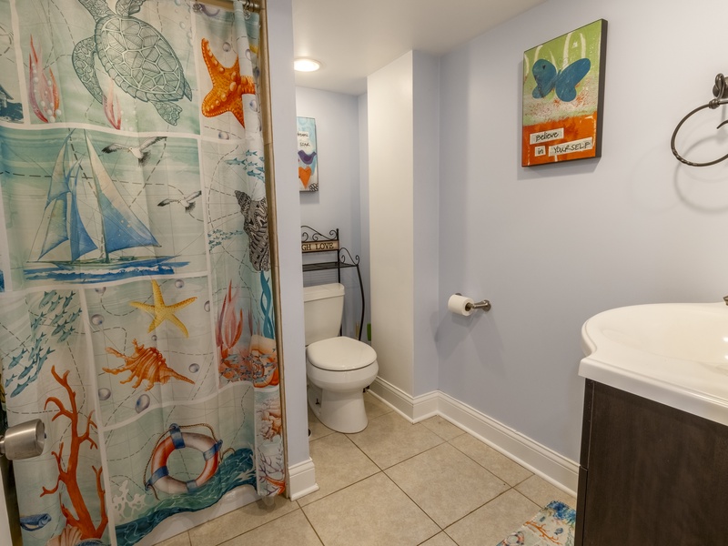 Basement | Bathroom 2