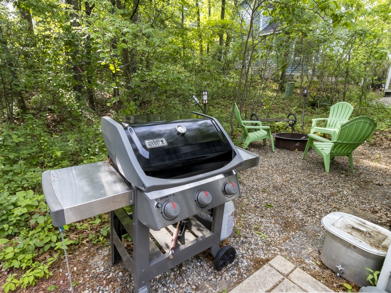Gas Grill | Fire pit