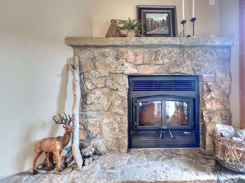 Eagle&#39;s Nest #09, Crested Butte Vacation Rental