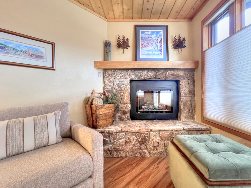 Eagle&#39;s Nest #01, Crested Butte Vacation Rental