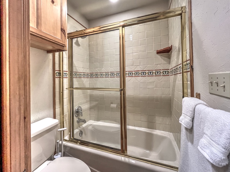 Crested Butte Vacation Rental, Skyview #4