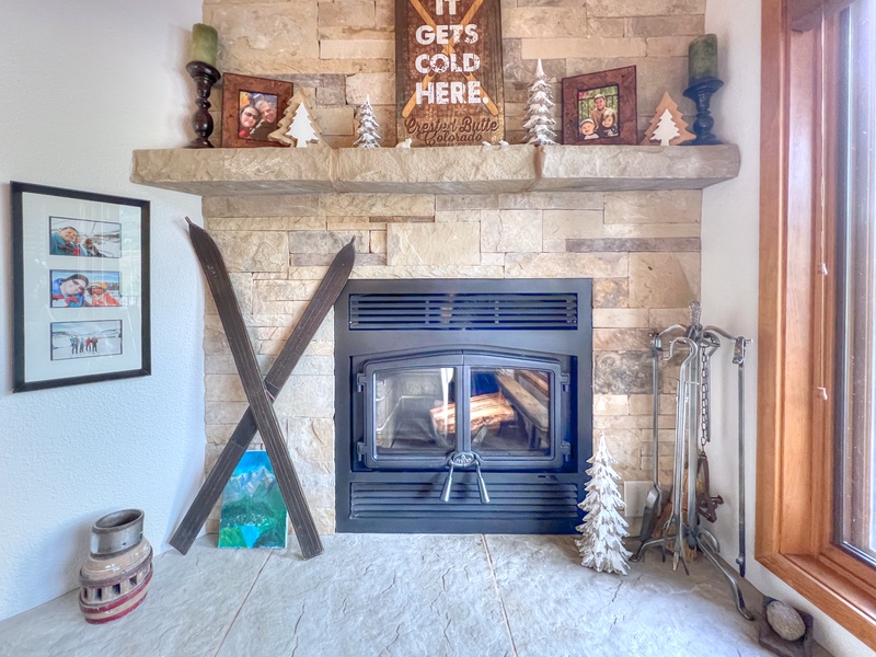 Eagle&#39;s Nest #21, Crested Butte Vacation Rental