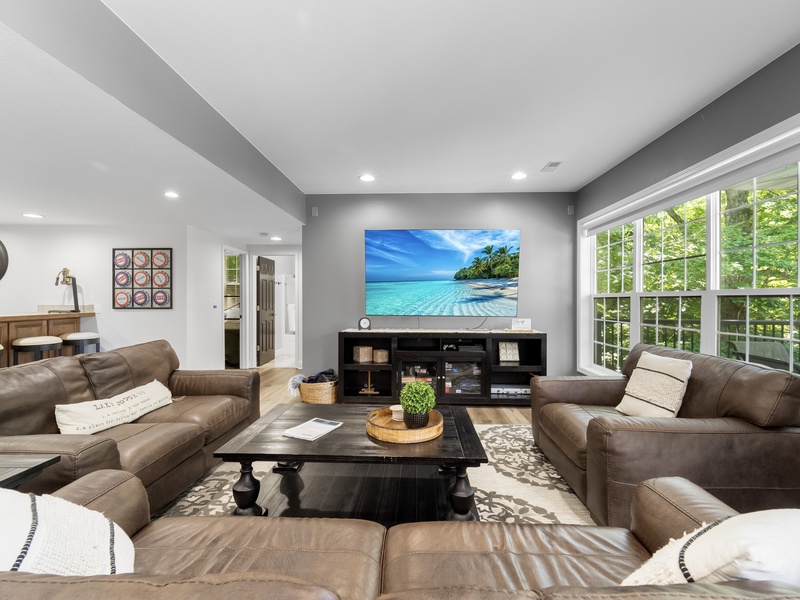 Lower level living area