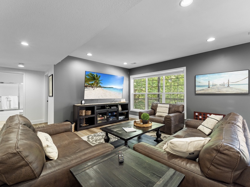 Lower level living area