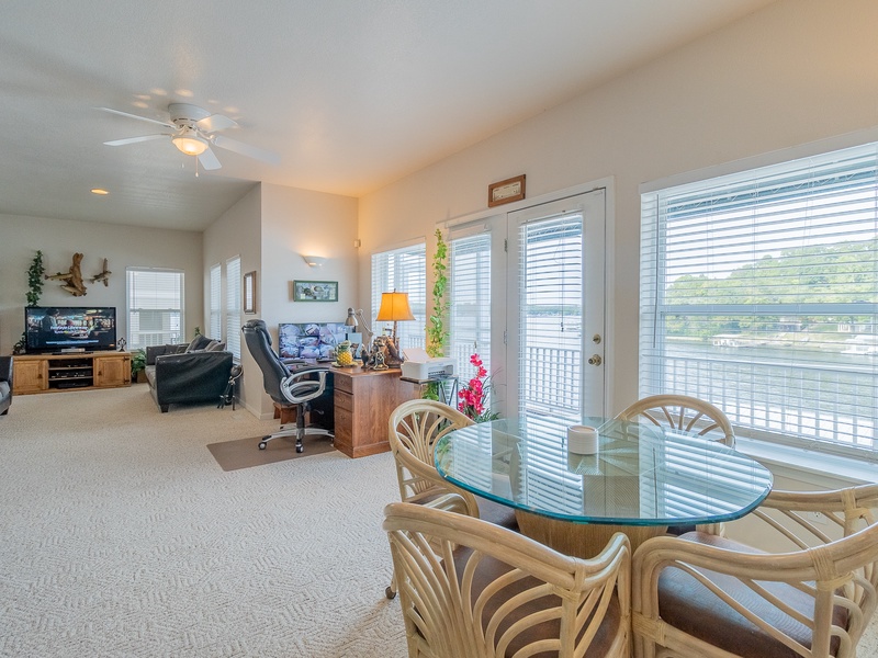 LOWER LEVEL LIVING AREA