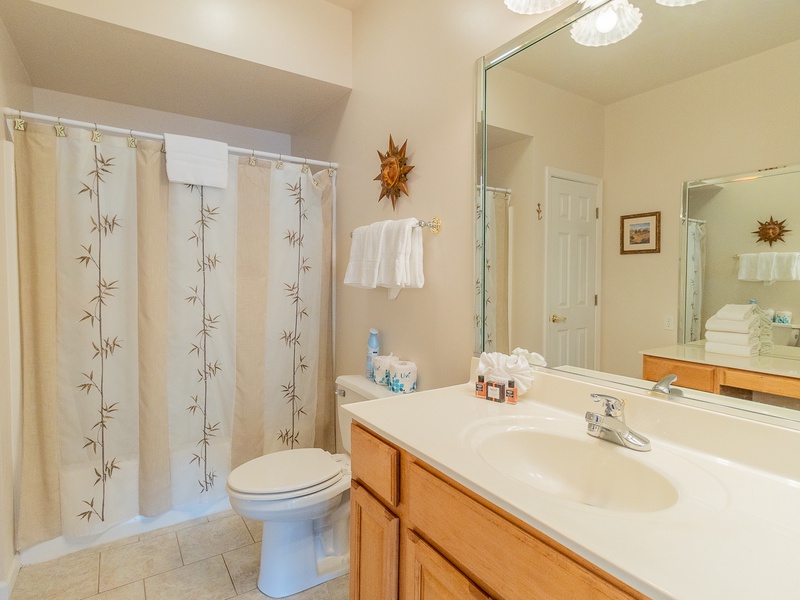 Bathroom 3 - lower level