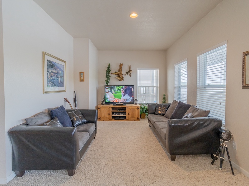 LOWER LEVEL LIVING AREA