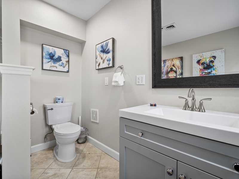 Bathroom 3 - lower level