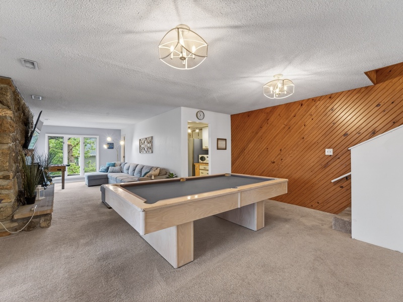 LOWER LEVEL LIVING AREA