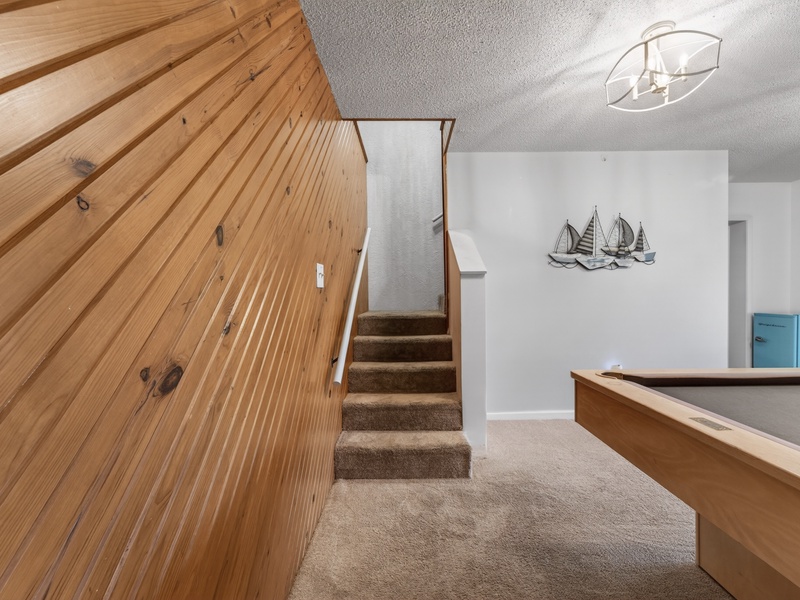 LOWER LEVEL LIVING AREA