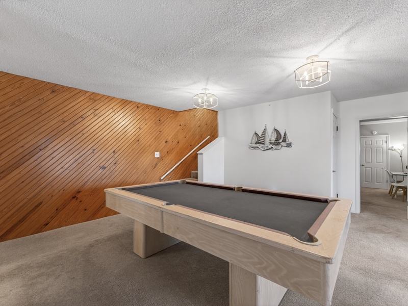 LOWER LEVEL LIVING AREA