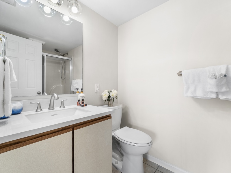 Bathroom 3 - lower level