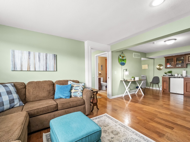 Lower level living area