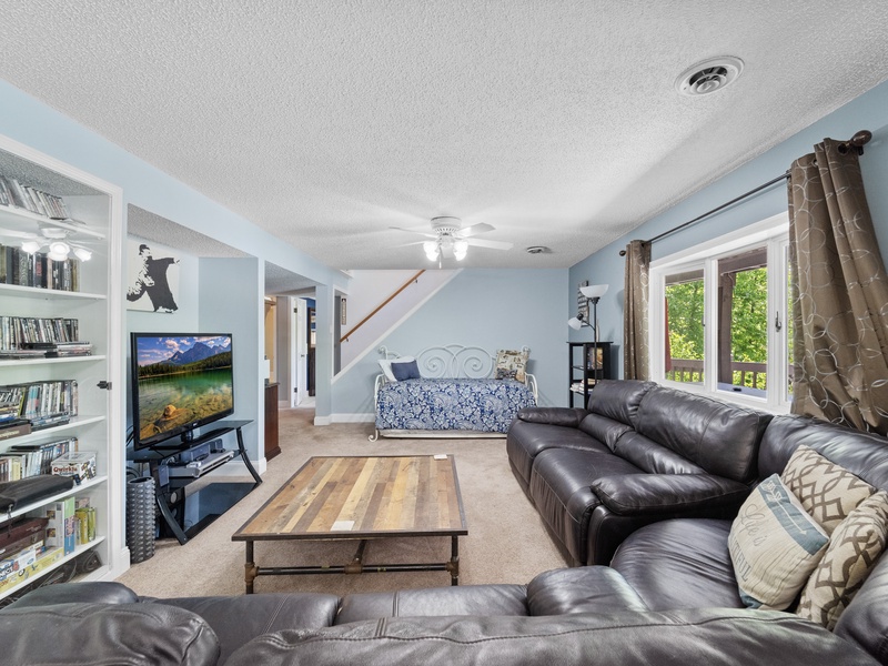 Lower level living area