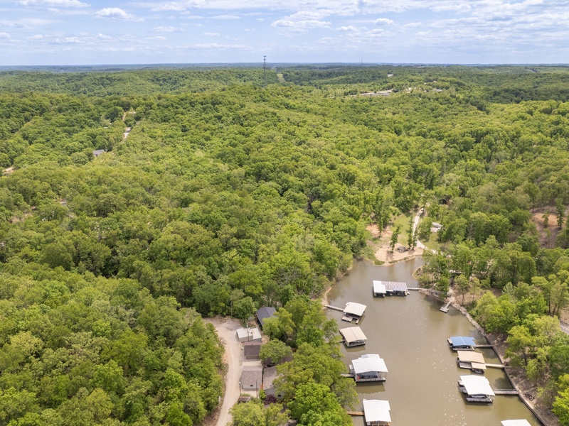 Aerial view of the area