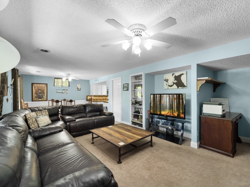 Lower level living area