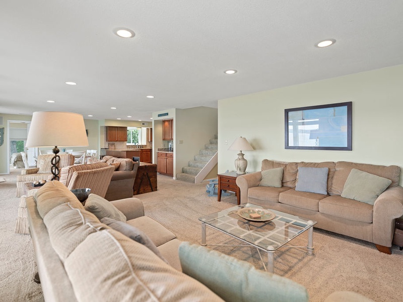 Living area lower level