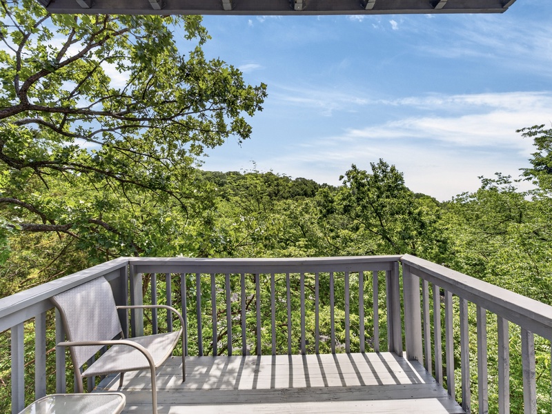 VIEW FROM BACK DECK