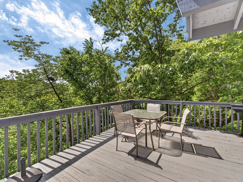 BACK DECK