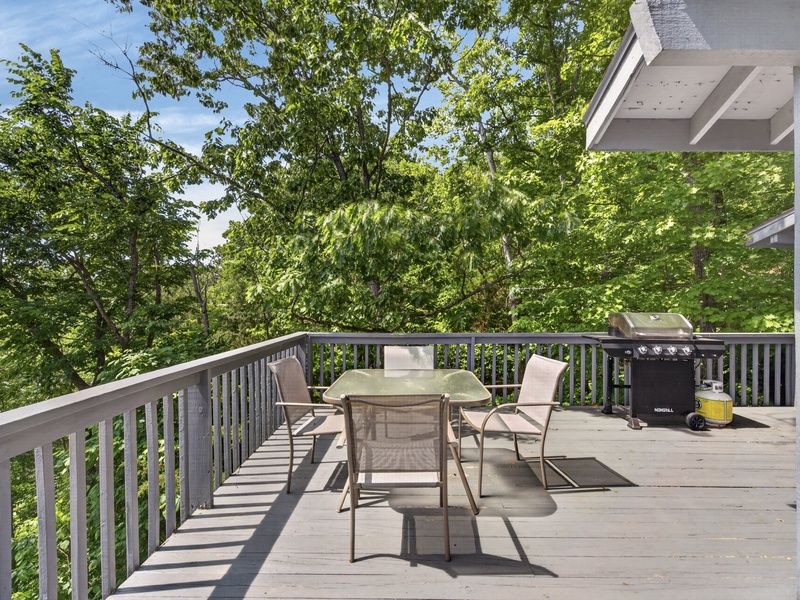 BACK DECK