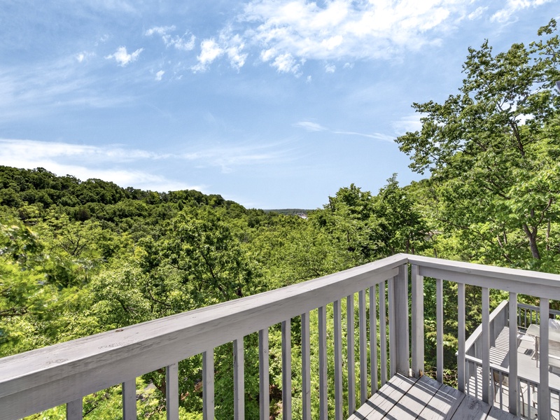 VIEW FROM BACK DECK