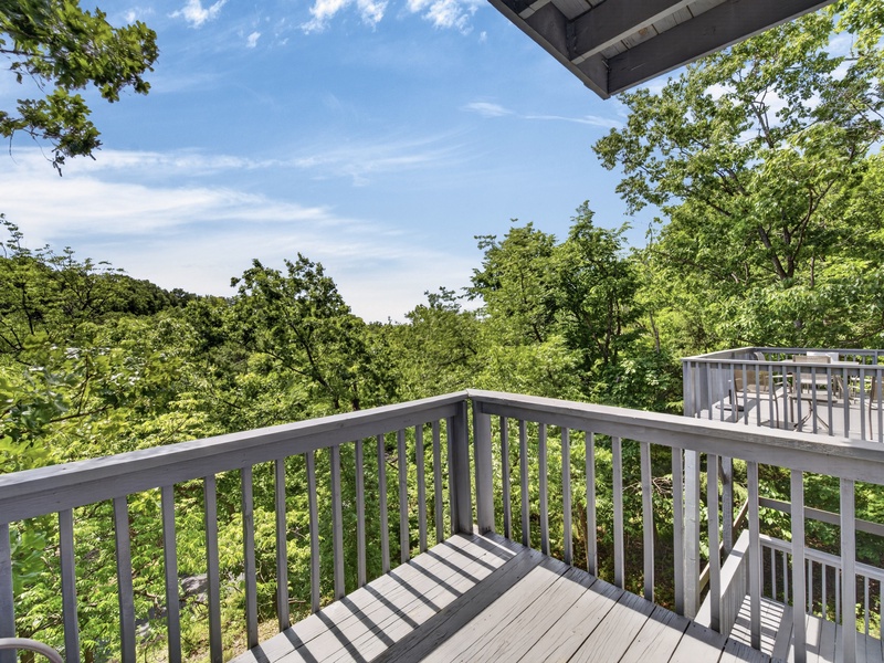 VIEW FROM, BACK DECK