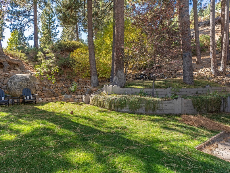 Back yard