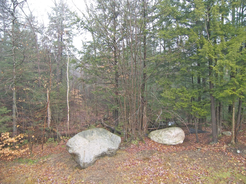 Wooded View of Brook from Deck
