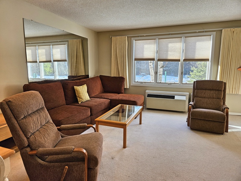 Comfortable living area (no sleep sofa)