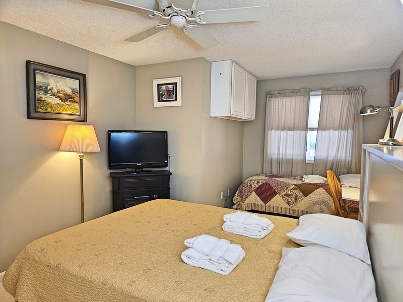 TV and electric fireplace