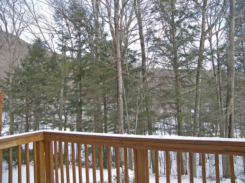 Winter View from Deck
