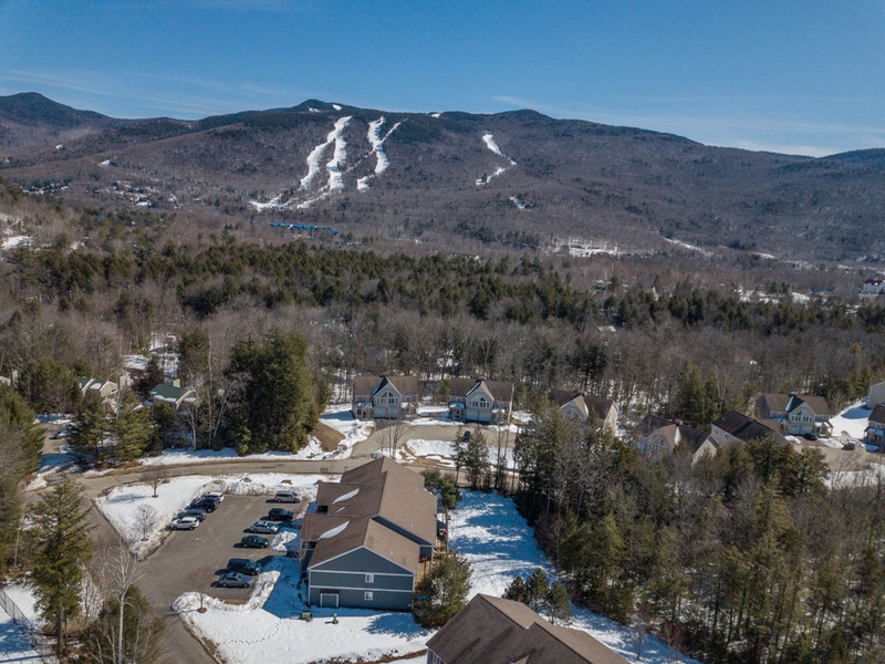 Aerial View of Loon from Forest Ridge