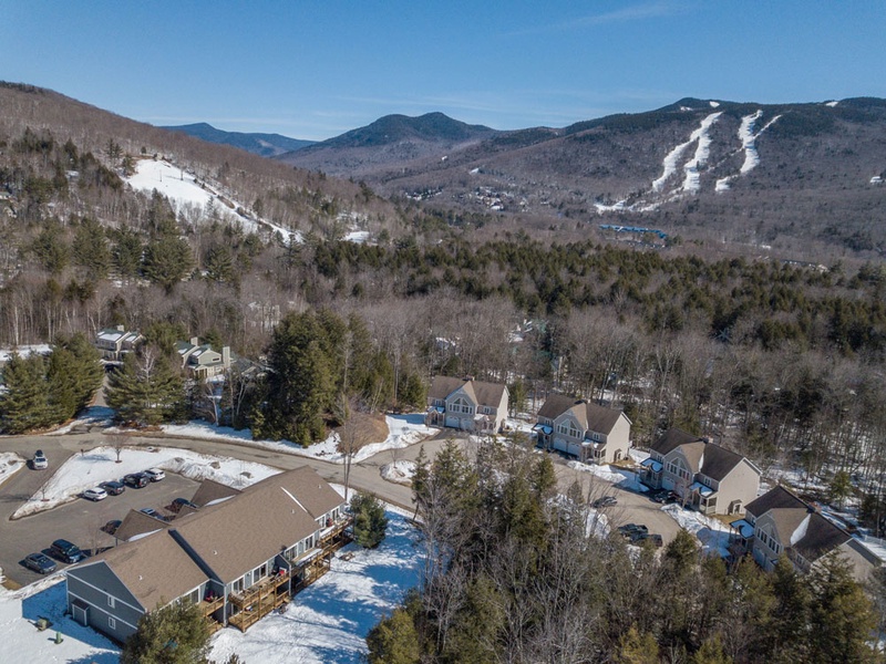 Aerial View of Loon from Forest Ridge