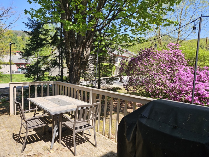Deck area with steps off on left