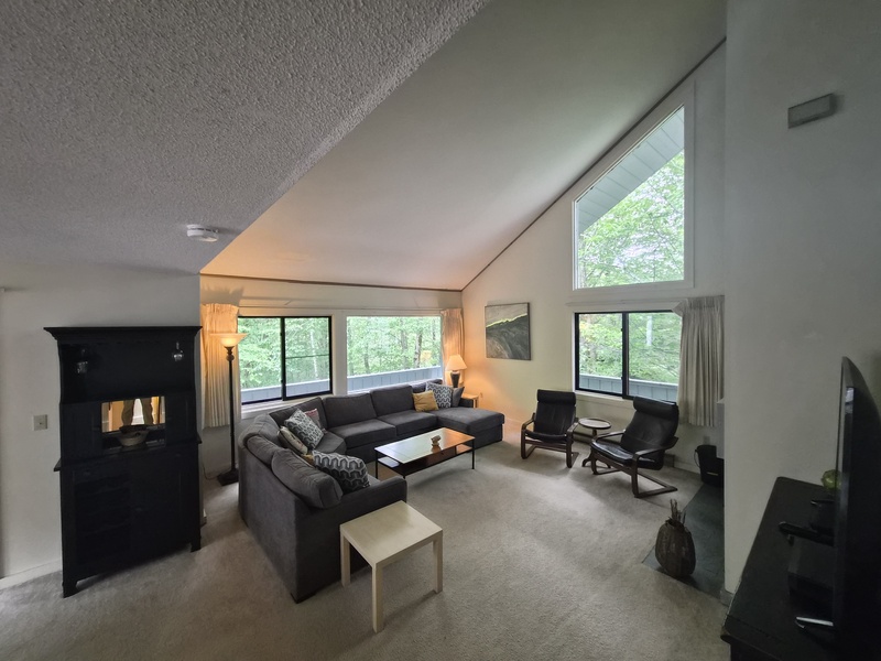 Living Room Area
