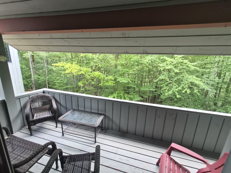 View off the Living Area Deck