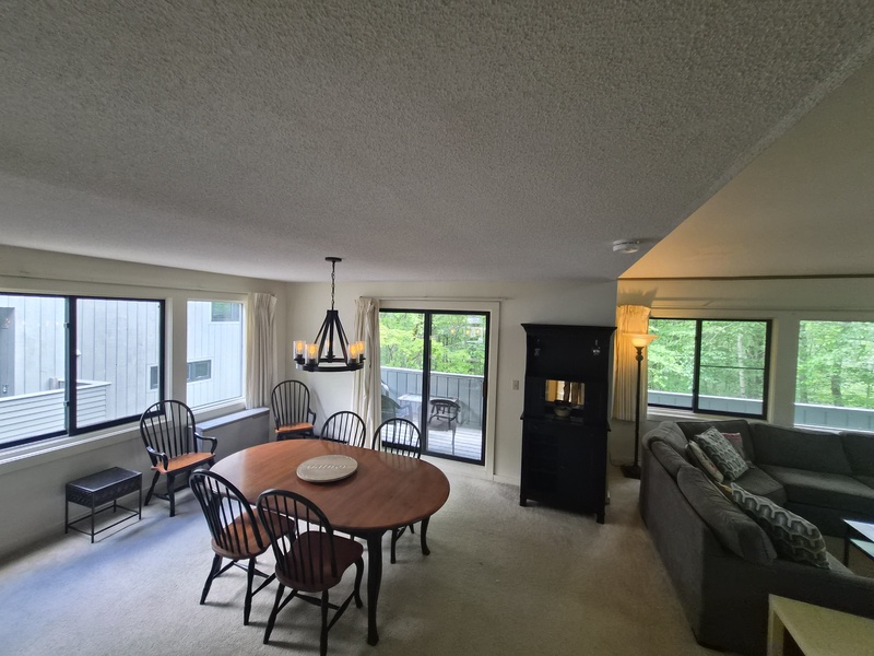 Dining - Living Room Area