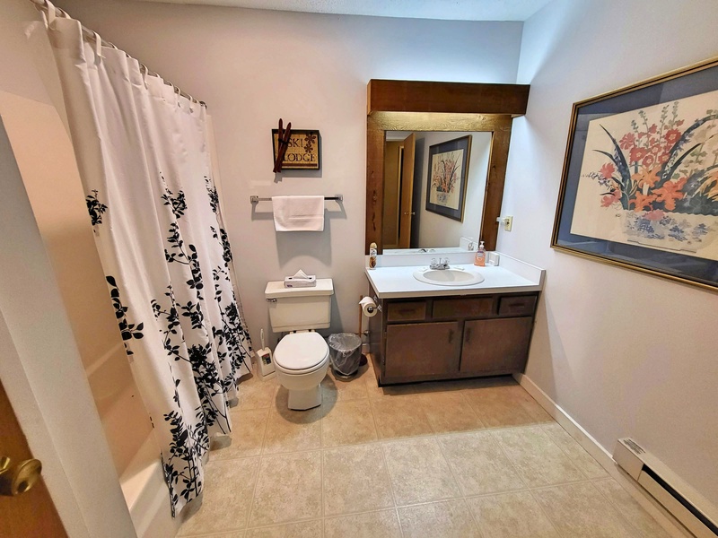 Lower level bath with tub shower combo